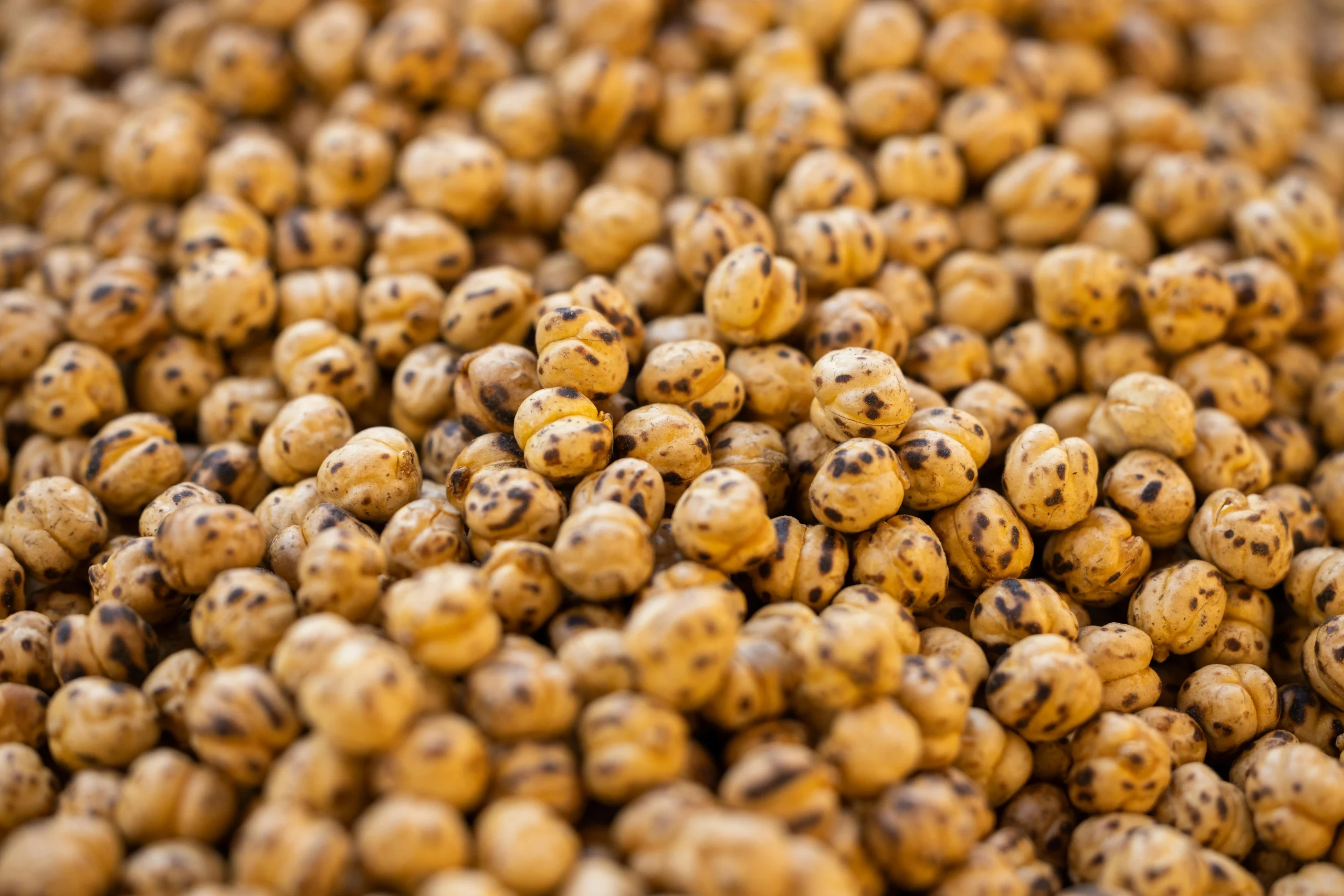 Chickpeas supplier from Turkey for wholesale and bulk orders